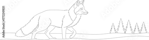 Fox animal wildlife nature forest winter snow trees mammal predator wild line