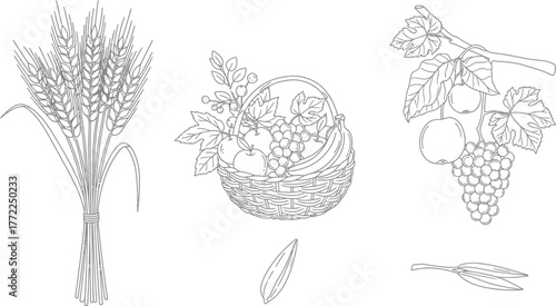 Wheat basket fruit grapes apples banana leaves harvest autumn thanksgiving food