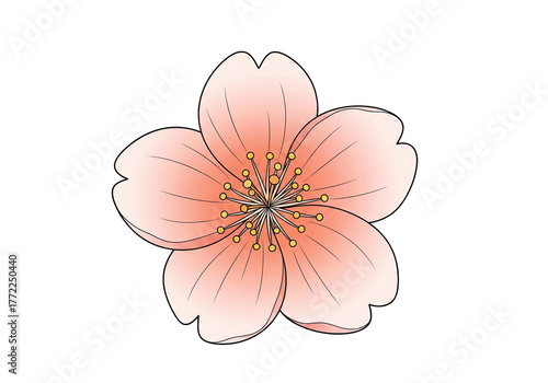 Pink Cherry Blossom PNG Clip Art - Transparent Sakura Flower Vector Illustration