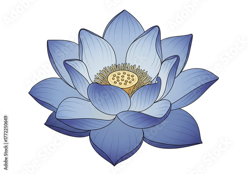 Blue Lotus Flower PNG Clip Art - Transparent Sacred Water Lily Vector Illustration
