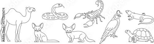 Desert animals camel snake scorpion fox hawk lizard turtle wildlife fauna