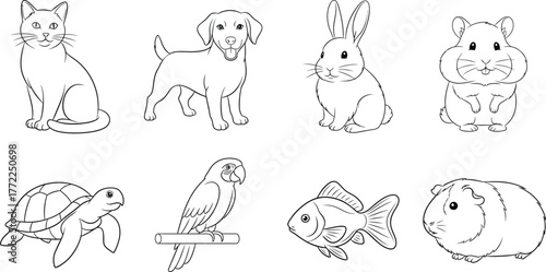 Pet animals cat dog rabbit hamster turtle parrot fish guinea pig outline