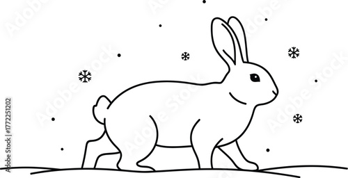 Rabbit snow winter animal cute nature wildlife mammal bunny hare cold snowfall pet