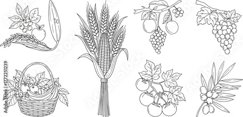 Harvest fruits vegetables wheat corn grapes tomatoes olives basket food farm