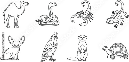 Desert animals camel snake scorpion lizard fox falcon meerkat turtle wildlife