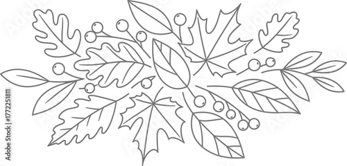 Autumn leaves fall foliage maple oak berries nature seasonal decoration design art