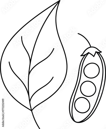 Leaf pea pod plant nature garden vegetable healthy food organic outline art