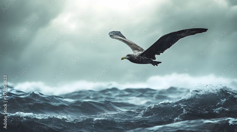 Naklejka premium A lone seabird flies through a stormy sky above crashing waves.