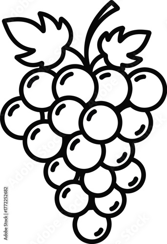 Grapes fruit food vine vineyard wine healthy sweet purple green harvest fresh