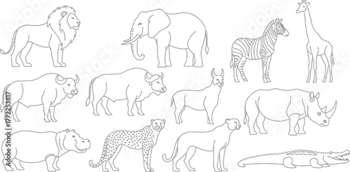 African animals wildlife safari lion elephant zebra giraffe rhino buffalo zoo