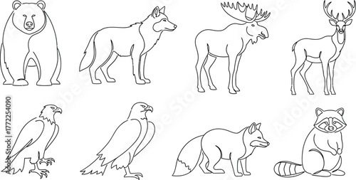 Forest animals wildlife bear wolf moose deer eagle fox raccoon nature line