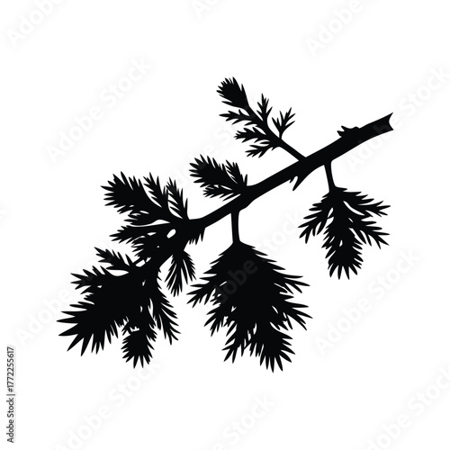 Silhouette of a Pine Tree Branch Against a White Background Design, larch branch silhouette vector illustration