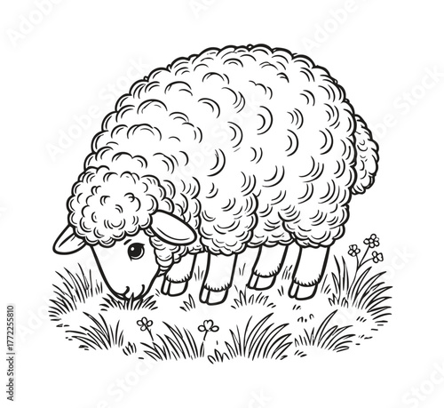 Cute Sheep Eating Grass Coloring Page with Bold Outline