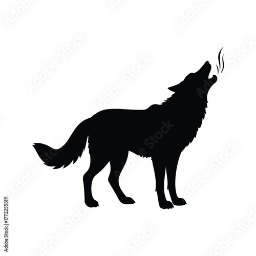 Silhouette of a howling wolf standing isolated against a white background, wolf sniffing the air silhouette vector illustration