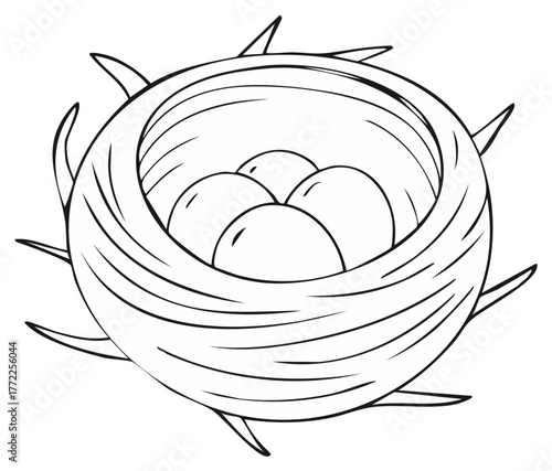 A charming hand drawn illustration of a birds nest with four round eggs nestled inside made from natural materials