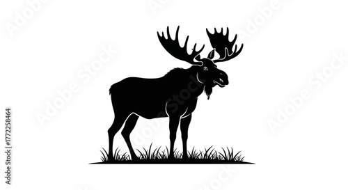 Moose silhouette in grass with transparent background