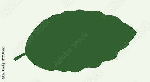 Green leaf with transparent background