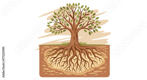 A stylized illustration depicts a tree with a lush green canopy and an extensive root system beneath the soil, set against a clean white background, ideal for educational purposes.