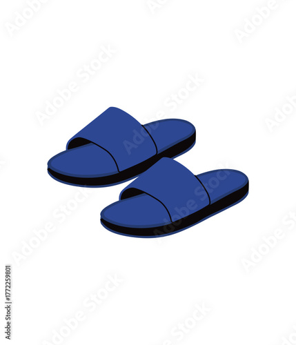 pair of slippers