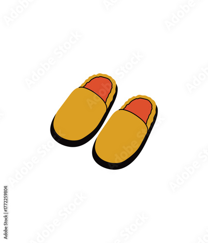slippers on white background