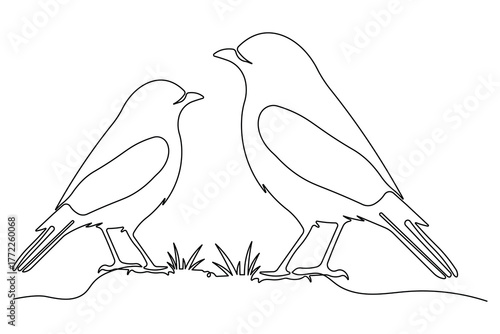  Minimal bird continuous one line drawing elegant outline art