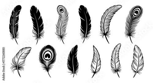 A collection of twelve intricately designed black and white feather illustrations showcasing various shapes and textures, perfect for artistic or decorative purposes.