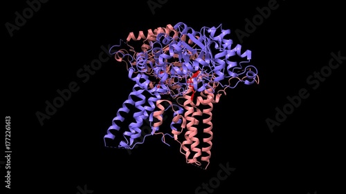 Structure of the O-GlcNAcase (OGA) inhibitor complex for the treatment of Alzheimer's disease. Animated 3D cartoon and molecular surface models, pdb 9ba8, chain id color scheme, black background.