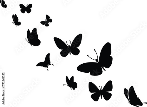 Flying butterfly icons set, insect collection, black silhouette and flat style group, decorative nature vector illustration, fluttering butterfly symbol, artistic insect graphic design.