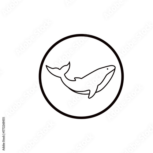 Whale line icon vector illustration