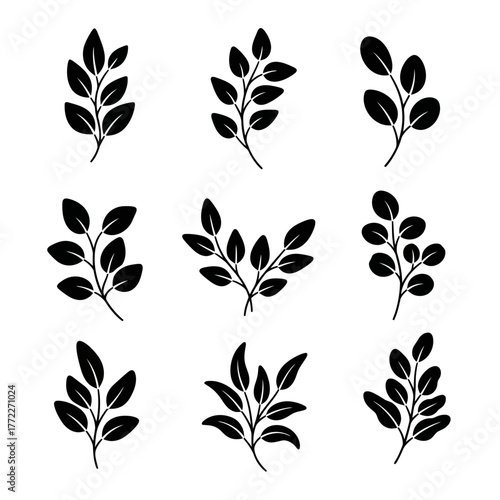 Collection of nine black silhouette leaf branches on a white background