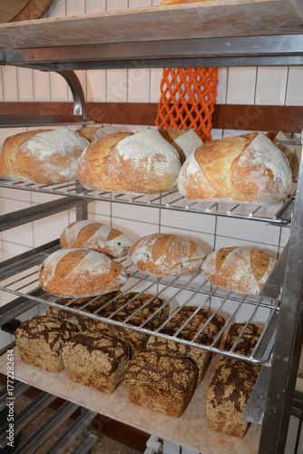 Assorted fresh bread on shelves in bakery after baking