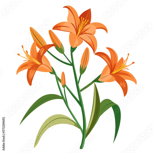 hemerocallis bloemen
