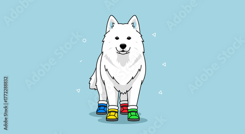 Cute Samoyed dog wearing colorful booties, playful pose in a wintery setting