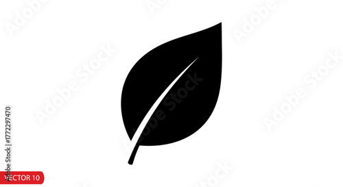 Leaf icon with transparent background