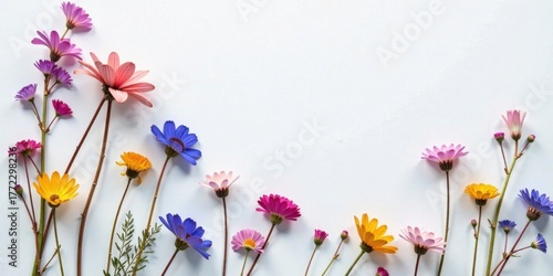 Vibrant Wildflowers Arranged in a Colorful Floral Border, Creating a Delightful and Cheerful Springtime Composition with a Blank Central Space for Text or Design Elements