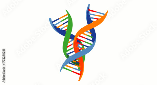 A colorful 2D illustration of intertwined DNA double helices in blue, green, orange on a white background.