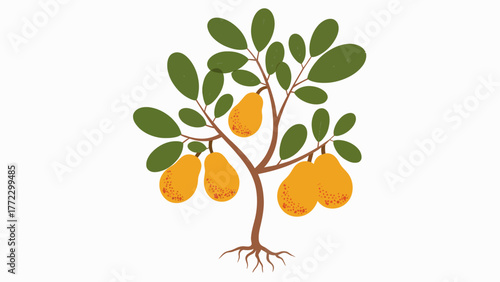 Stylized Pear Tree Illustration with Ripe Fruit and Green Leaves Depicting Harvest Season and Orchard Growth