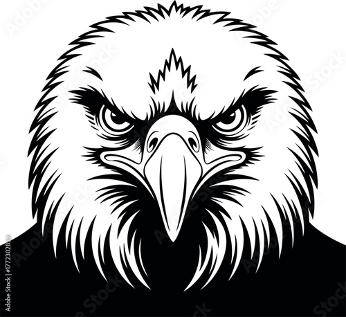 Black and white graphic illustration of an eagle's intense face bird raptor