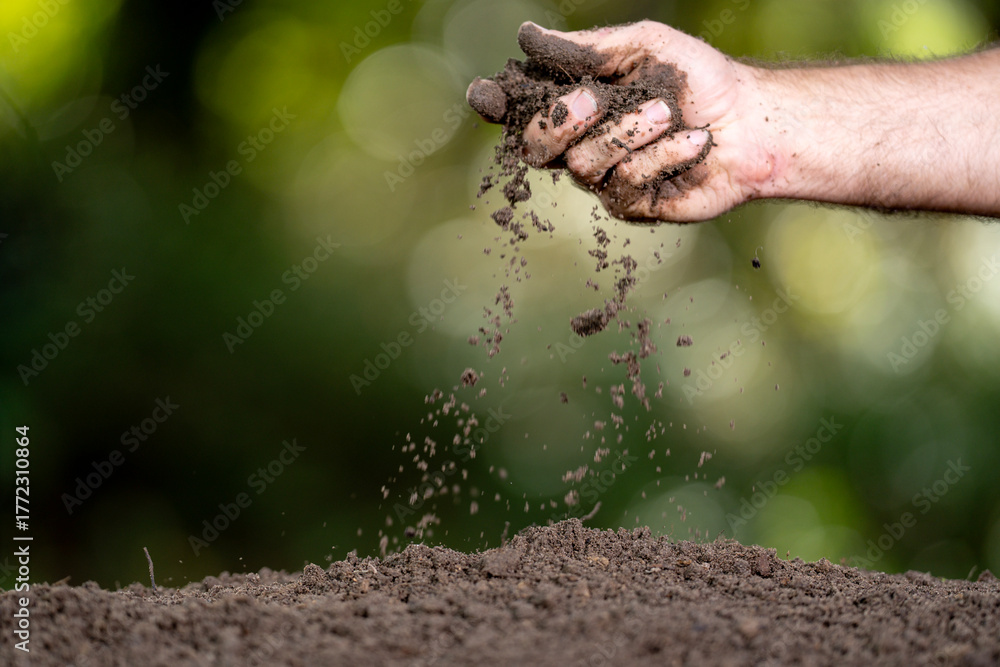Naklejka premium Soil concept. Hands holding fertile soil. Checking soil. Dirty clay and organic fertilizer. Eco farming with natural soil. Gardener planting seed in humus. Farmer testing humus compost.