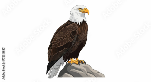 Illustration of a bald eagle perched on a gray rock with a white background in a cartoon style