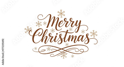 Elegant calligraphy spells "Merry Christmas" with decorative snowflakes and flourishes.
