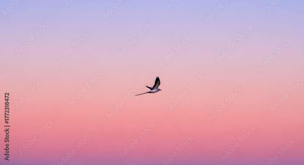 Fototapeta premium Bird in Flight Against Pastel Sky Minimalist Sky with Flying Bird Delicate Bird Silhouette Against Gradient Pink and Blue Sky Tranquil Scene of Bird Soaring Simple Bird Image