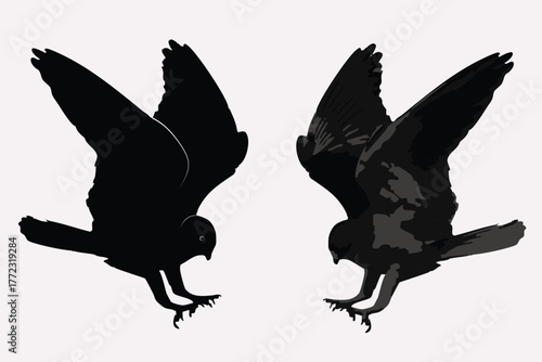 Silhouettes of Predatory Birds in Flight.
Dynamic Raptor Duo: Abstract Avian Illustration.
Powerful Birds of Prey Landing or Taking Off.
Contrasting Styles: Black and Textured Bird Silhouettes.