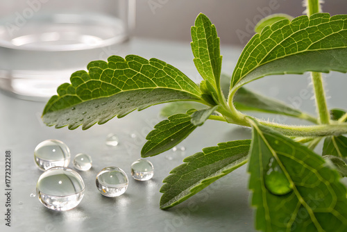 Fotografía macro de una planta de stevia