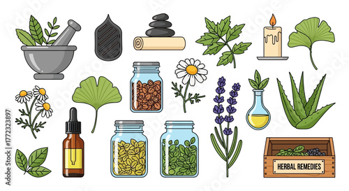 Diverse Collection of Natural Herbal Medicine Ingredients and Organic Wellness Remedies for Holistic Health and Traditional Healing Practices