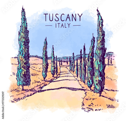 Sketch illustration colorful landscape of the road with cypress in Tuscany, Italy, Europe. Freehand digital drawing of Italian village cartoon landscape. Hand drawn postcard. Watercolor background