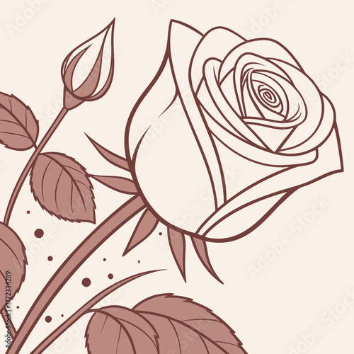 velvety blush surface with subtle gradien