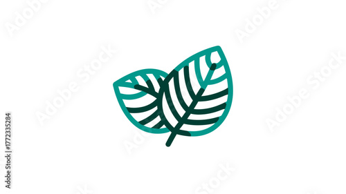 Vector illustration of two stylized green leaves. Minimalist organic nature icon, fresh eco-friendly plant symbol, graphic design element.