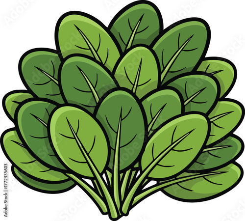 Bush Of Fresh Green Spinach Leaves Isolated On White Background Healthy Food Ingredient