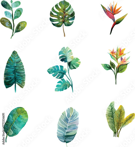 vector set of green leaves